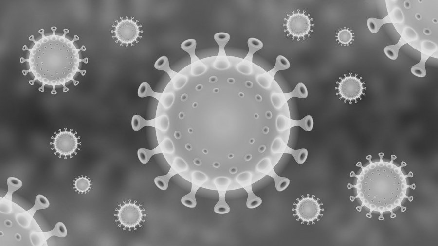coronavirus.jpg