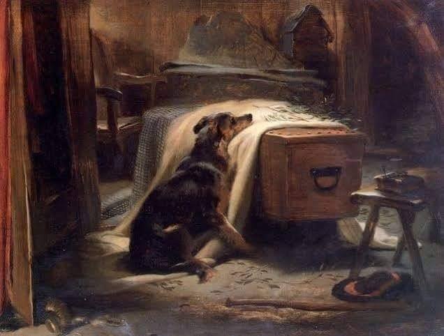 SadDog.jpg