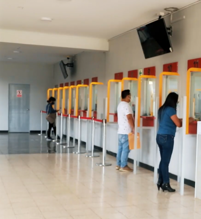 Cola para Licensia.png