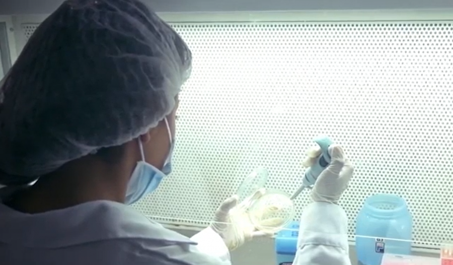 Cientificos peruanos.png